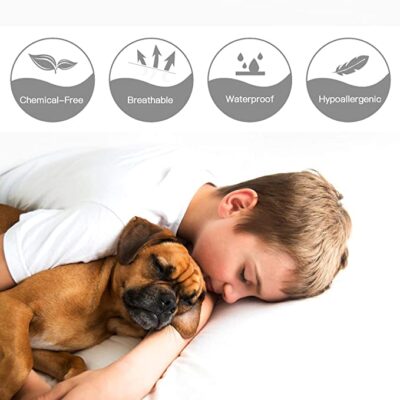 Mattress Protector 100% Water Proof