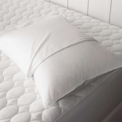 Pillow Protector – 200 Tc Plain Poly